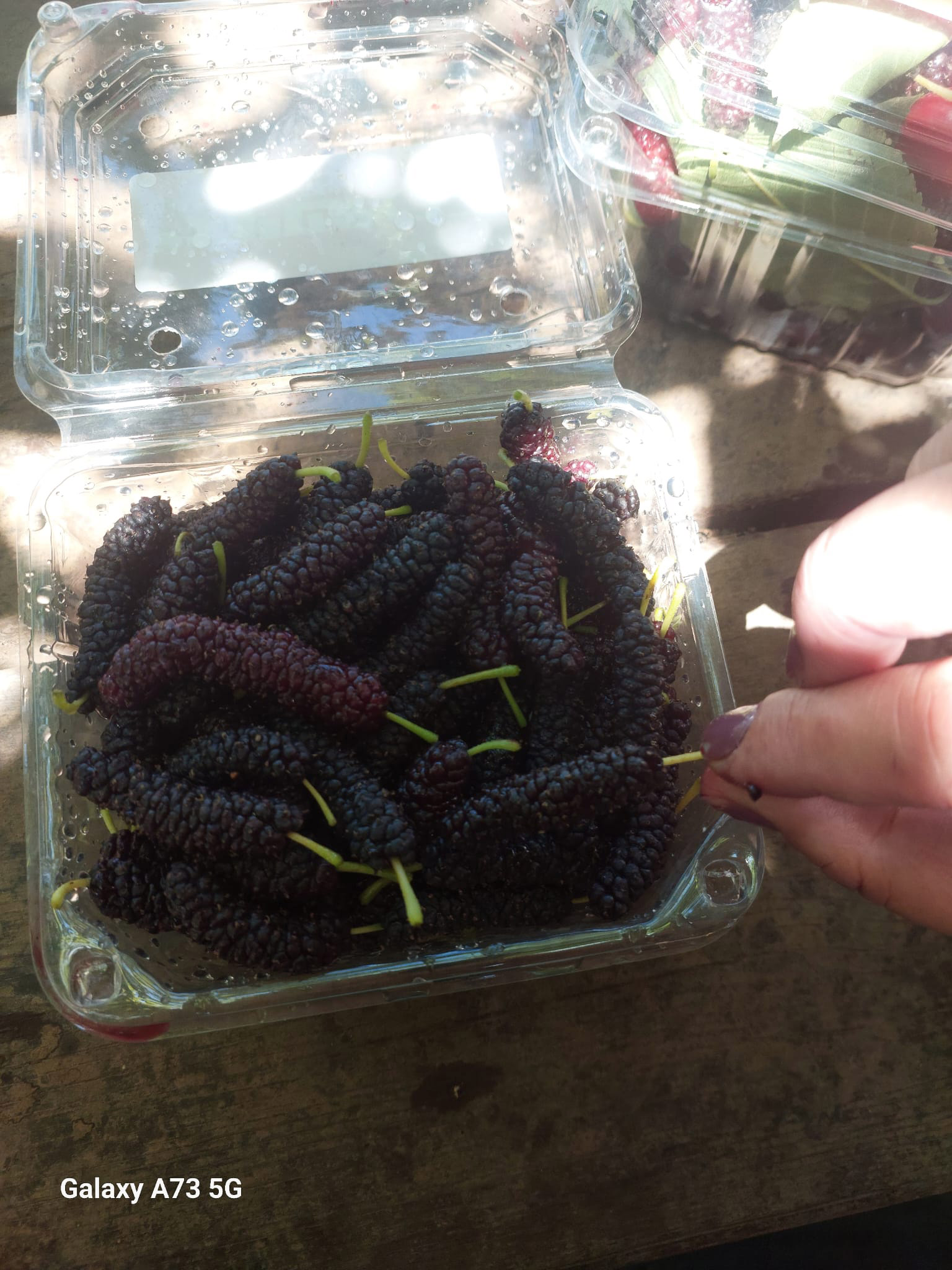 IMG-20230624-WA0004